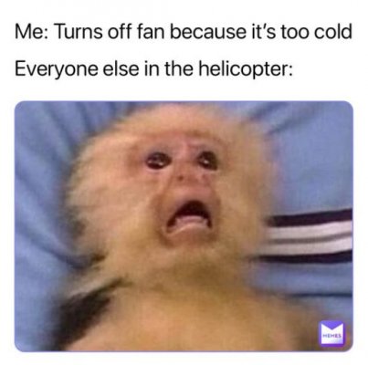 Helicopter fan.jpg