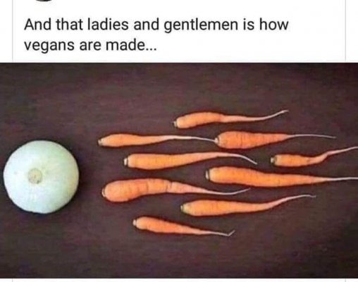 How Vegans Are Made.jpg