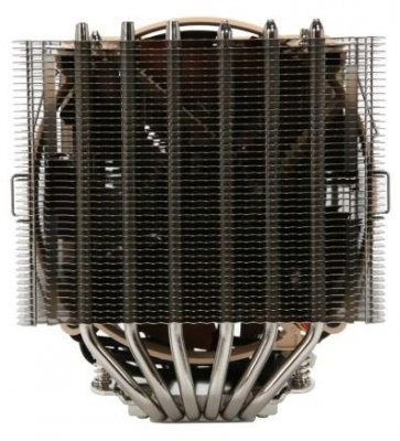 Noctua 4.JPG