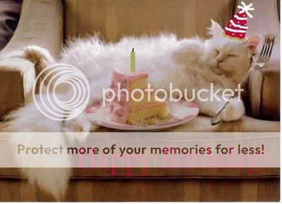cat_birthday_cake2.jpg
