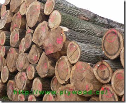 wood-log.jpg