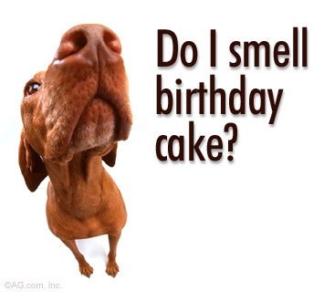 do_i_smell_birthday_cake-1746.jpg