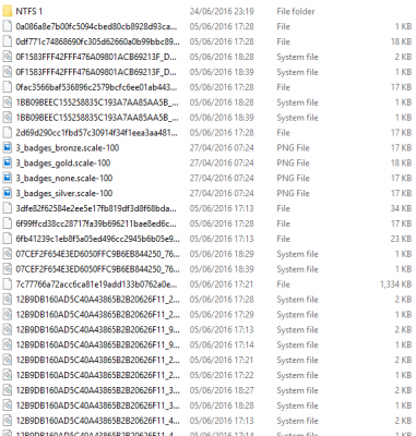 Image of recovered files.PNG