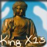 King X13