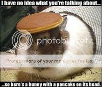 thumb-pancakerabbit.jpg